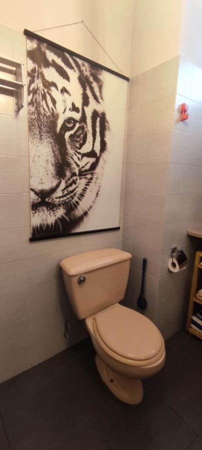 Central Studio Nice Dış mekan fotoğraf